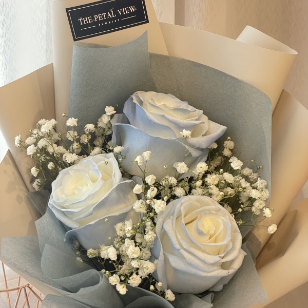 rose_model_11_2