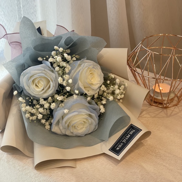 rose_model_11_3