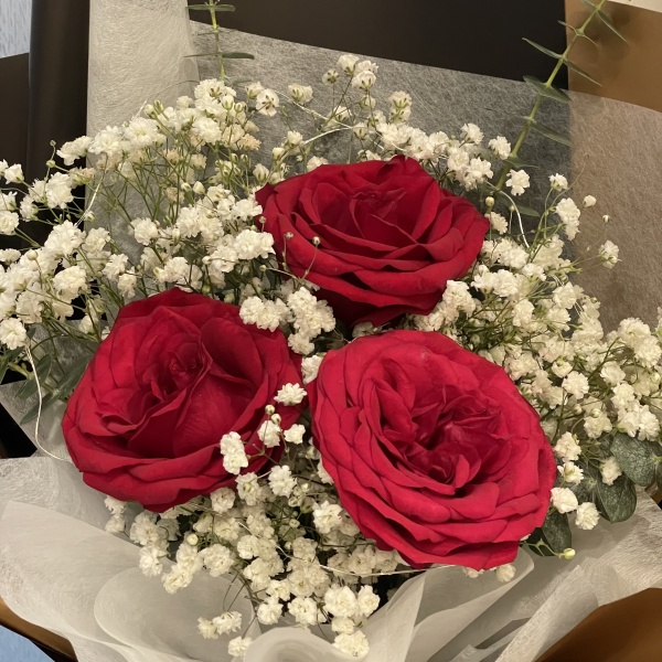 rose_model_2_2