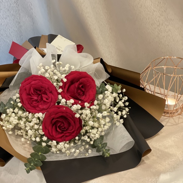 rose_model_2_3