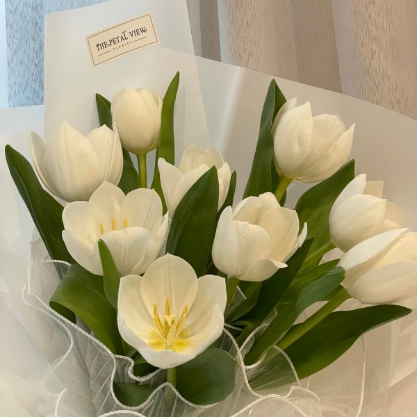 tulip_model_5_2